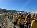 la p'tite feria (3)